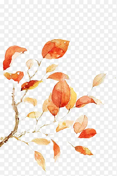 Ҷ��-������