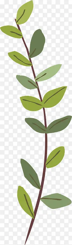 �ֻ���֦-������