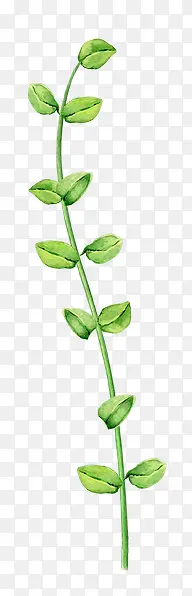 ��֦��Ҷ-������