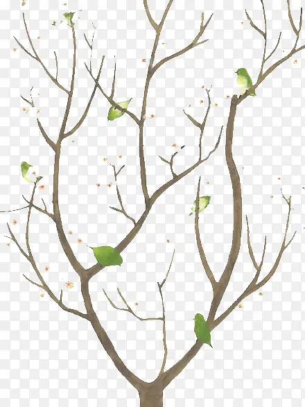 ��֦-������