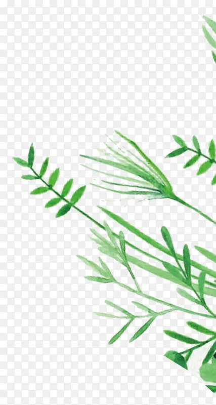 С��С��Ҷ�����ֻ�-������