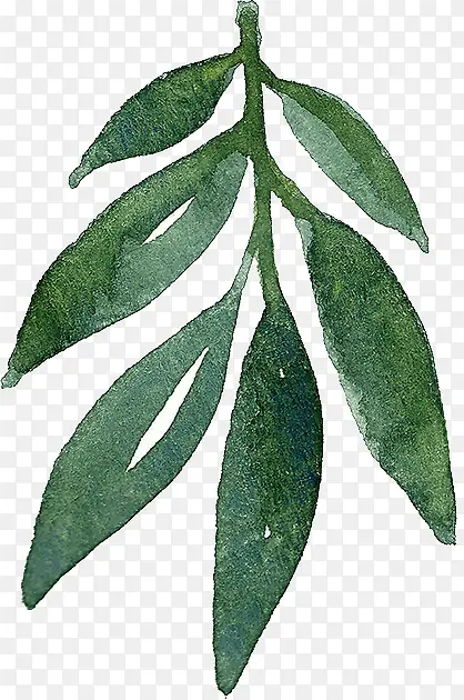 �ֻ���֦-������