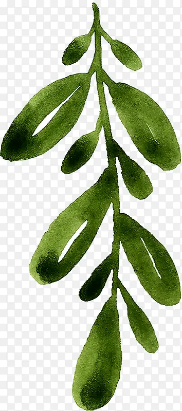 �ֻ���֦-������