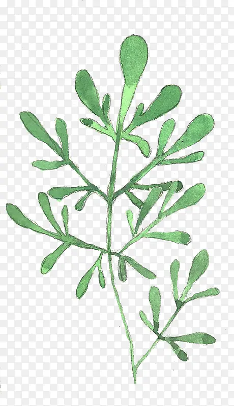 �ֻ���Ҷ-������