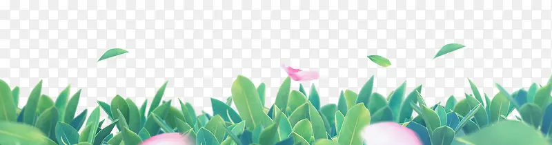 ��ͨ�ֻ���ɫС����Ҷ-������