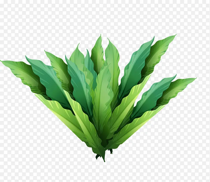 �ֻ���Ҷװ�δ������-������