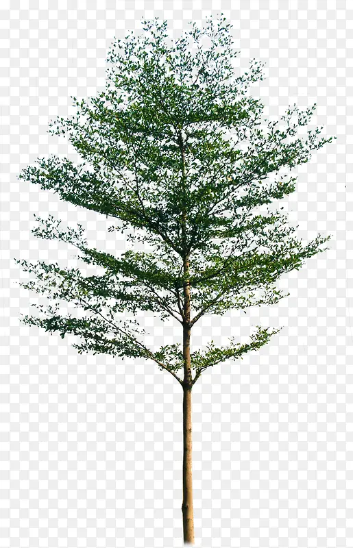 ��-������