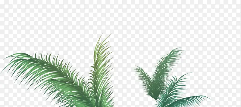 ��-������