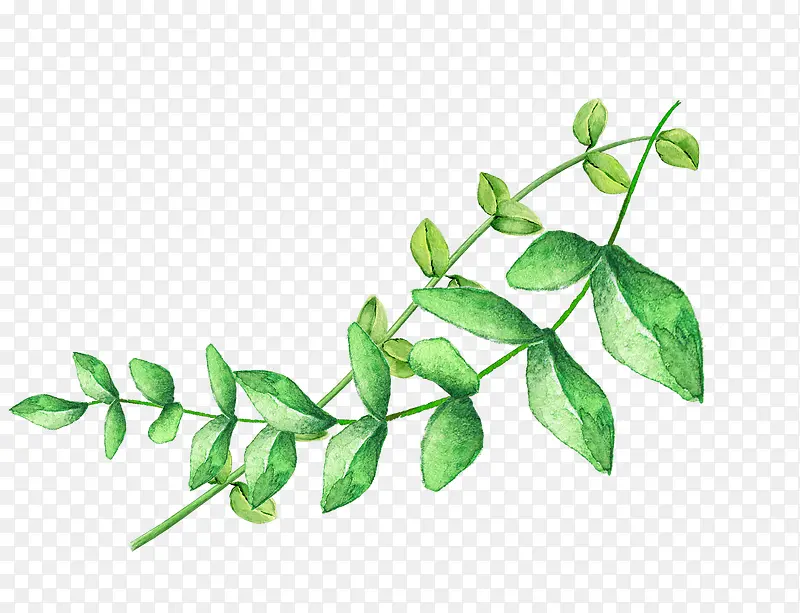 ˮ���ֻ�-������