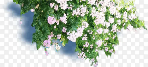 С��С��-������