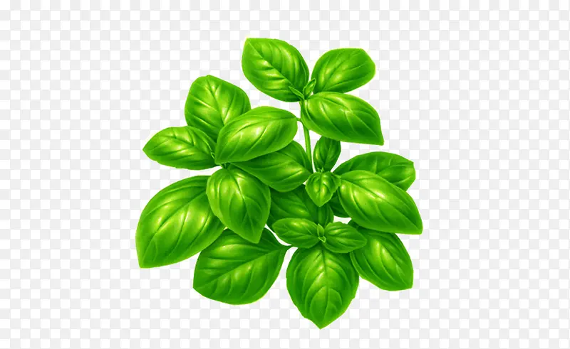 ��ɫ�ֻ�廭��Ҷ-������