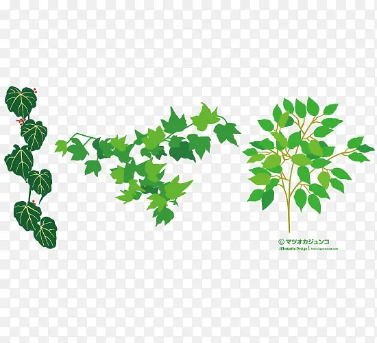 ��ɫ��Ҷ-������