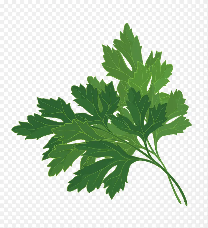 ʸ��С��-������