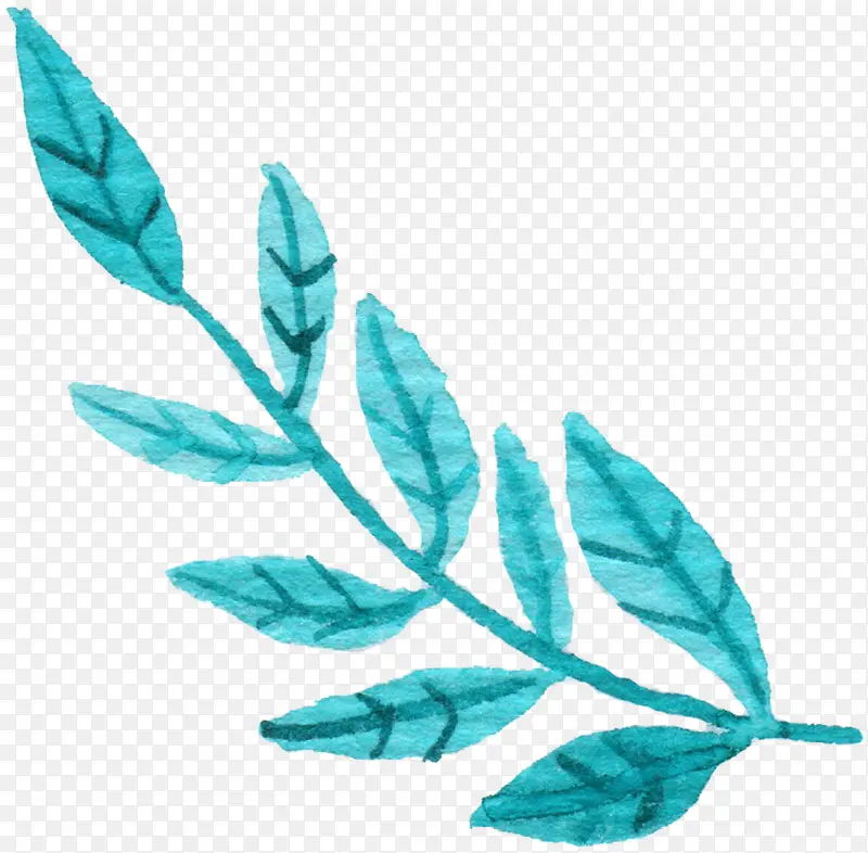 �ֻ���֦-������