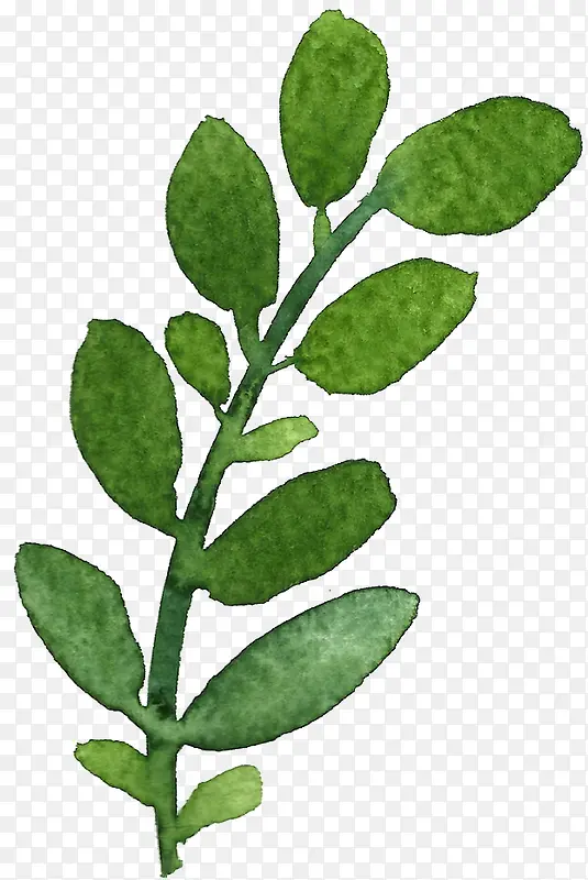 �ֻ���֦-������