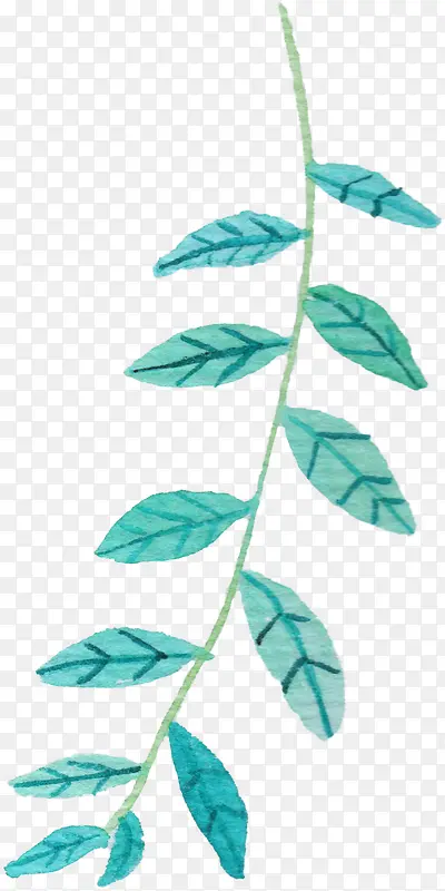 �ֻ���֦-������