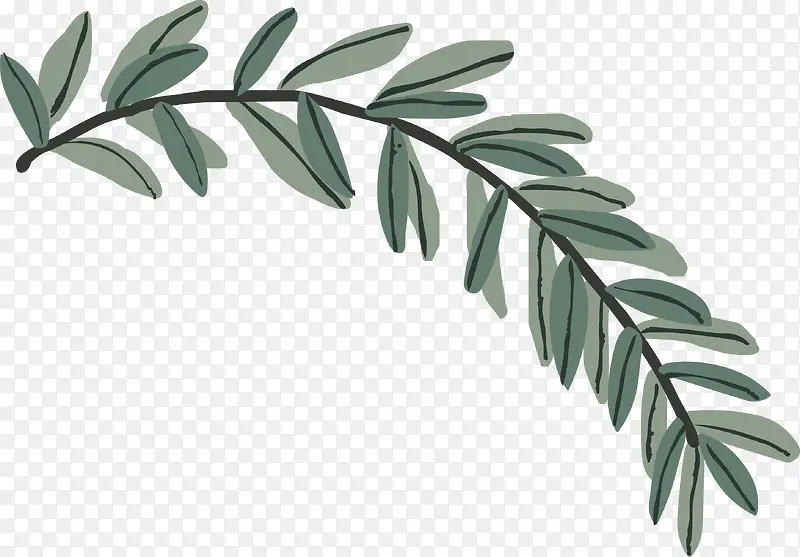 �ֻ���֦-������