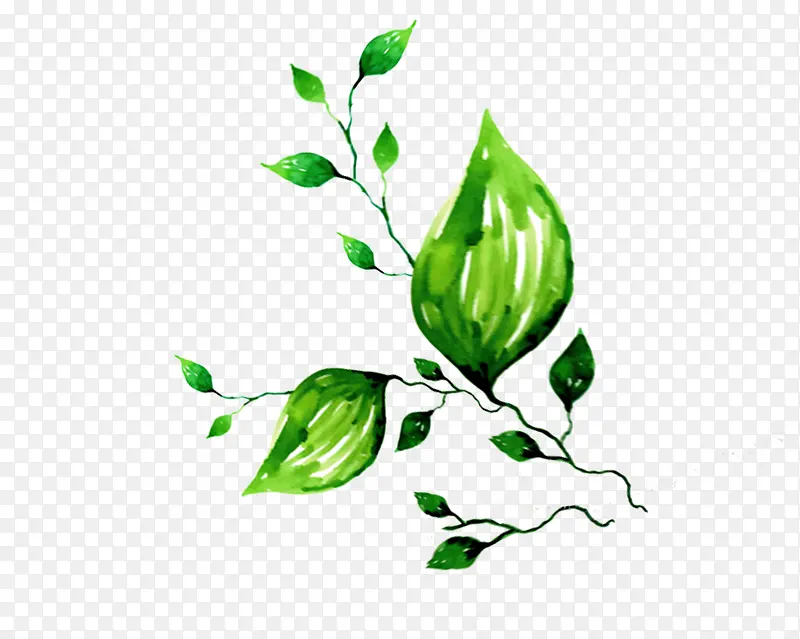 ��֦-������