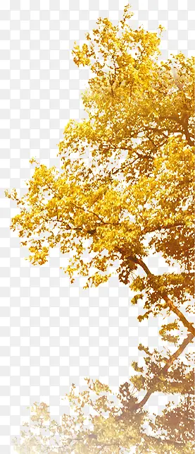 ��-������