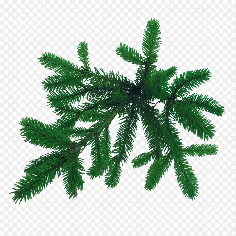 ��Ҷ-������