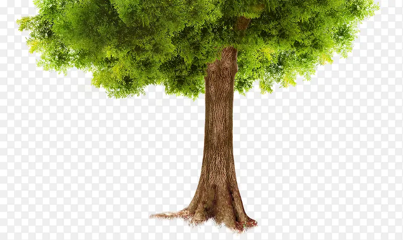 ����-������