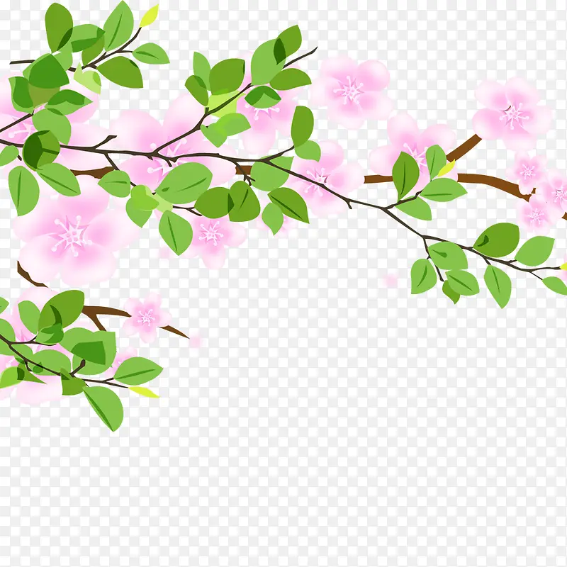 ��֦��Ҷ-������