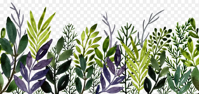 �ֻ���֦-������