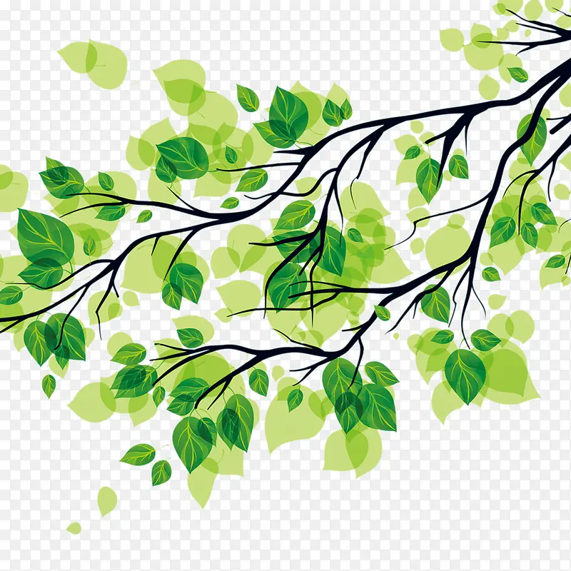 ��֦-������