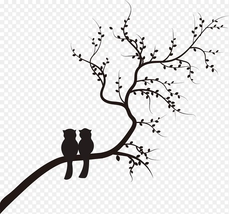 ��֦-������