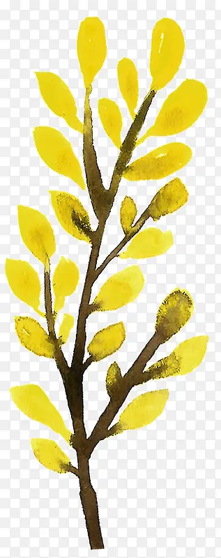 �ֻ���֦-������