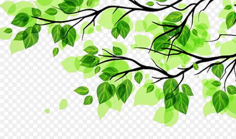 ������ɫ��ͨ�ֻ�Ҷ��-������