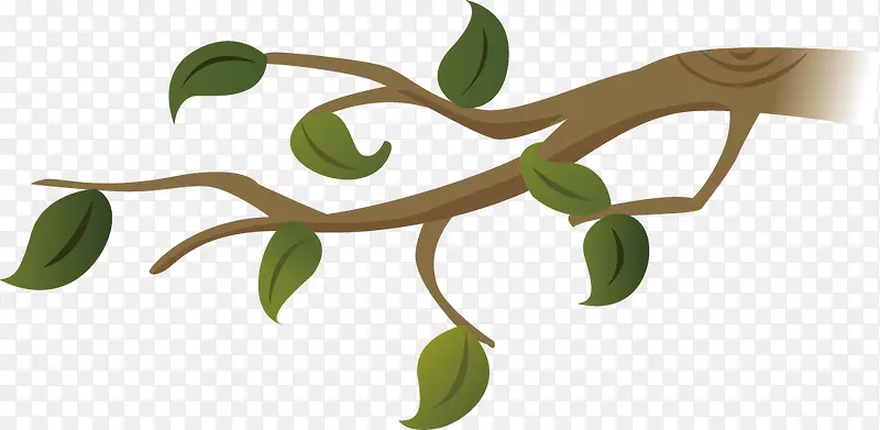 ��֦ʸ���ز�-������