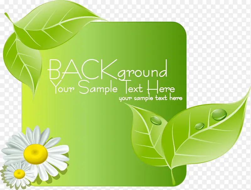 ���촴����Ҷ-������