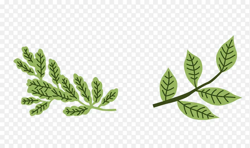 ��ͨ��֦ʸ��ͼ����-������