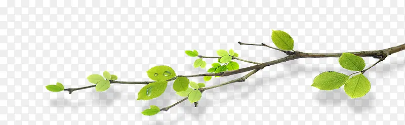 ��֦-������