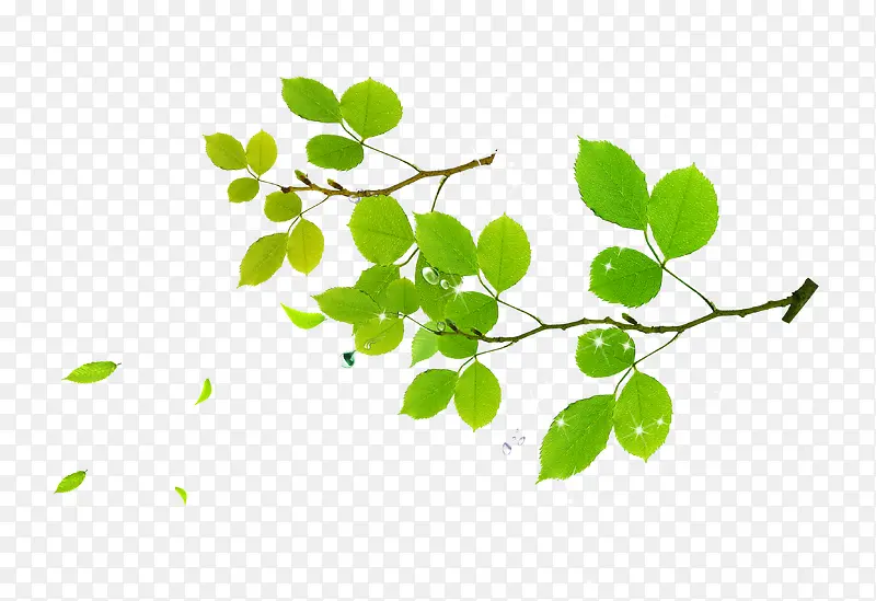 ��ɫ��Ҷ��֦װ��ͼ��-������