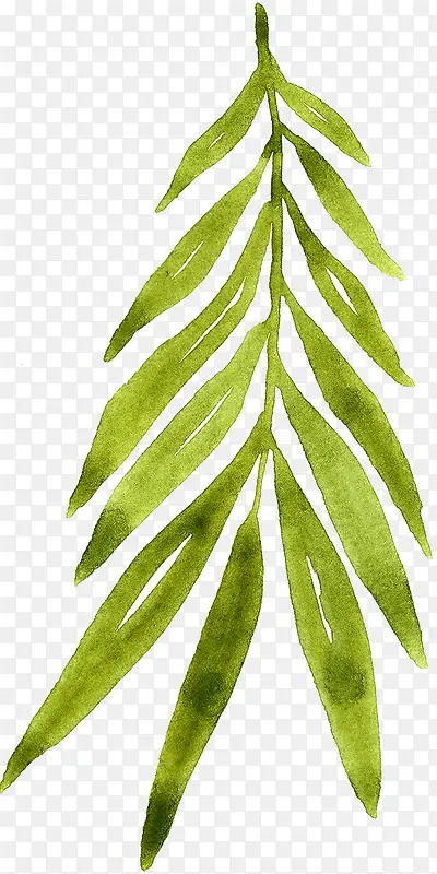 �ֻ���֦-������