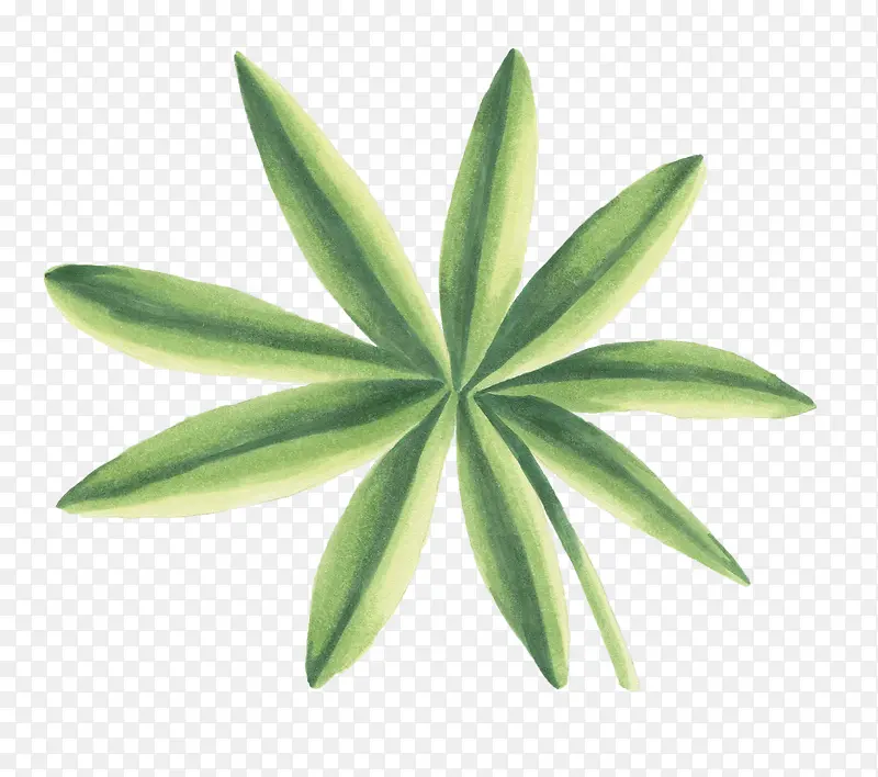 ˮ���ֻ�ֲ��Ҷ��-������