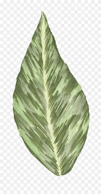 ˮ���ֻ�ֲ��Ҷ��-������