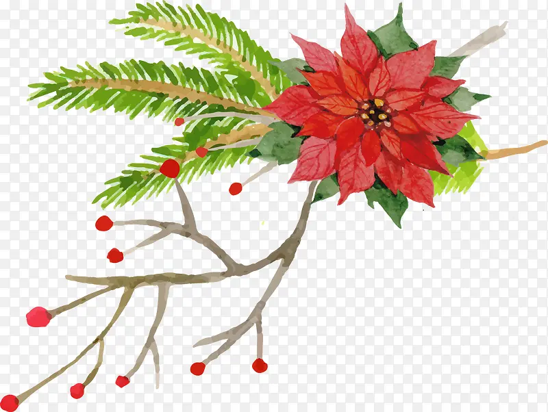 �ʻ滨��-������