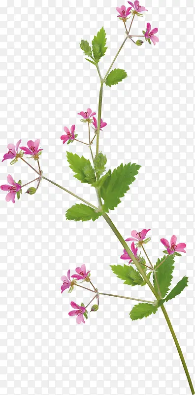 ����-������