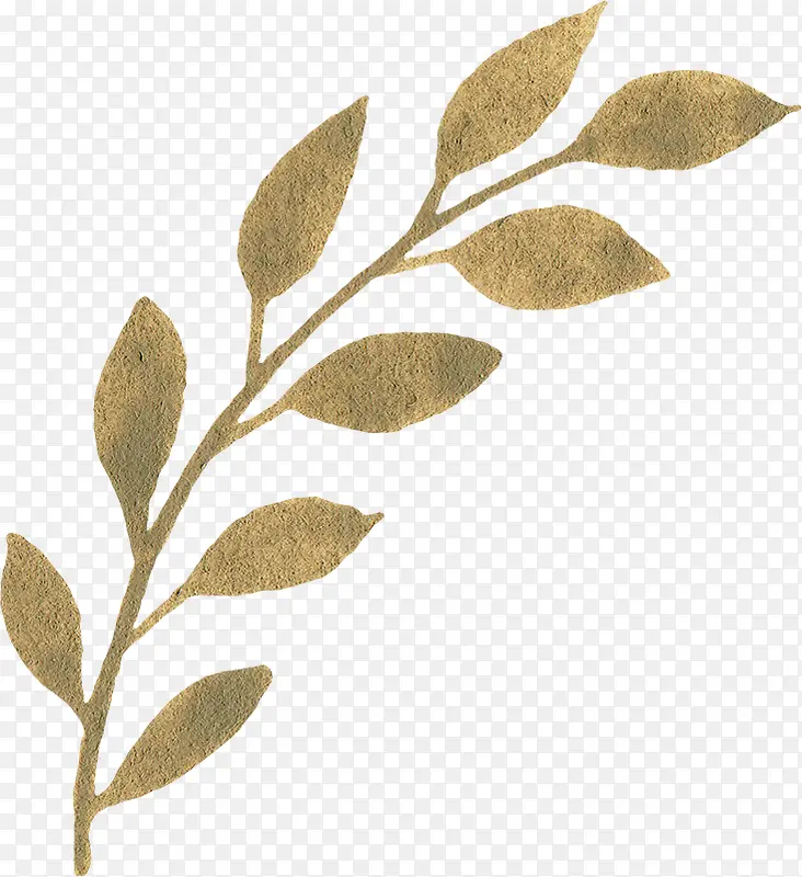 �ֻ���֦-������