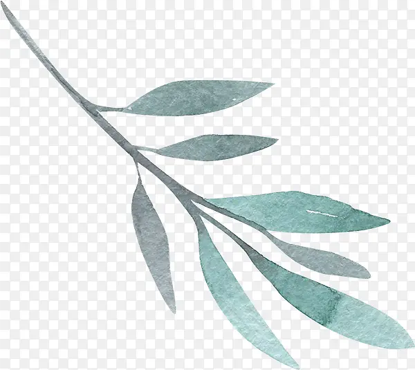 �ֻ���֦-������