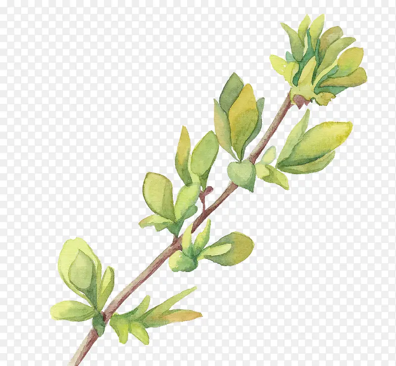 �ֻ�ˮ����ҶҶ��-������