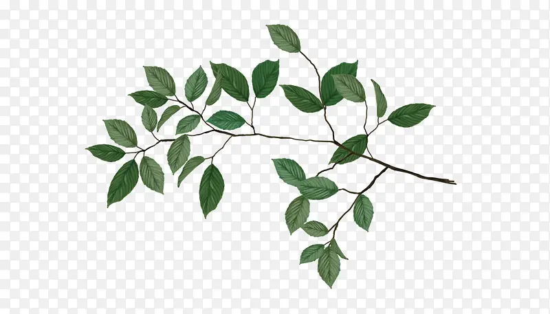 ��Ҷ-������