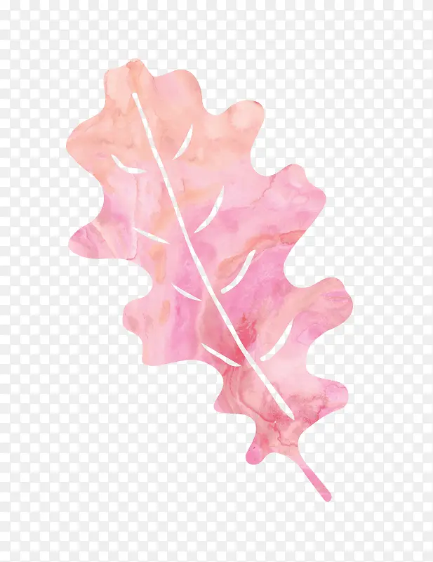 ˮ����Ҷ-������