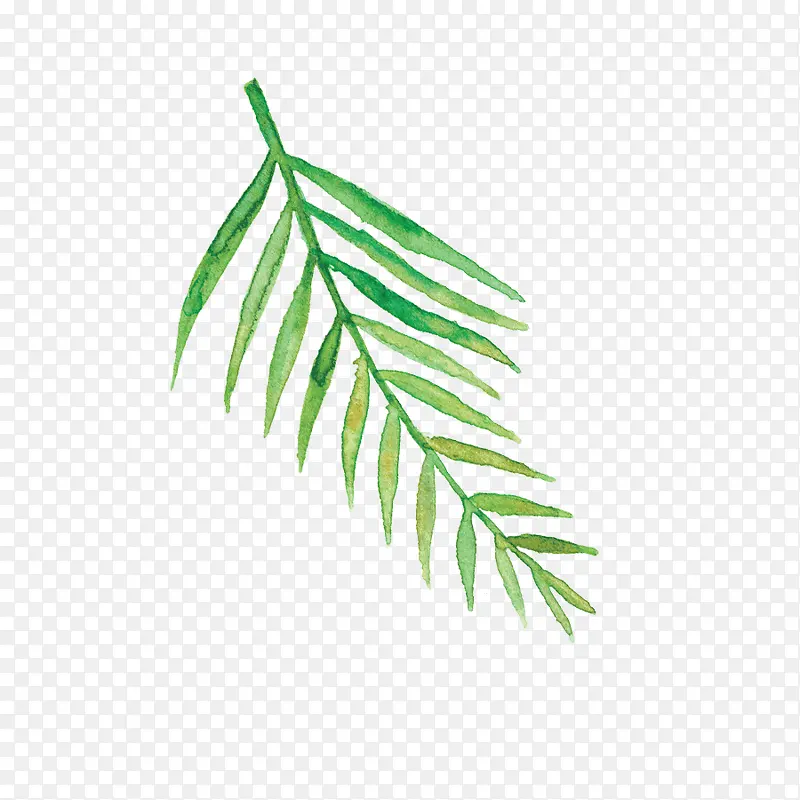 �ֻ���Ҷ-������