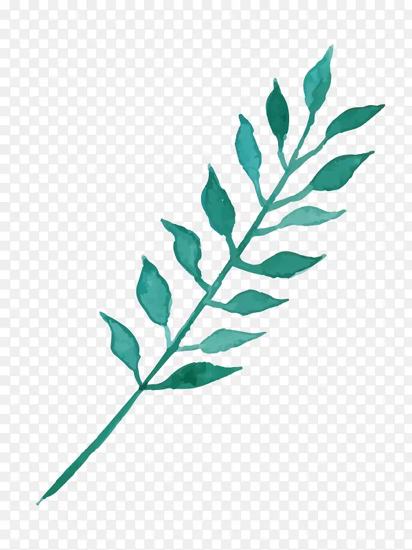 �ֻ���֦-������