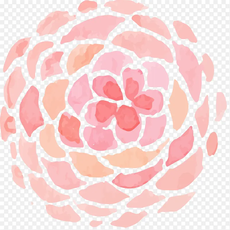 ˮ�ʻ� ֲ��  ���� �ֻ� ��Ҷ-������