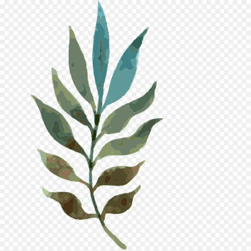 ˮ�ʻ� ֲ��  ���� �ֻ� ��Ҷ-������